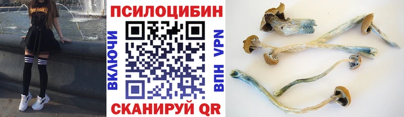 kraken ТОР Горбатов Галлюциногенные грибы MAGIC MUSHROOMS